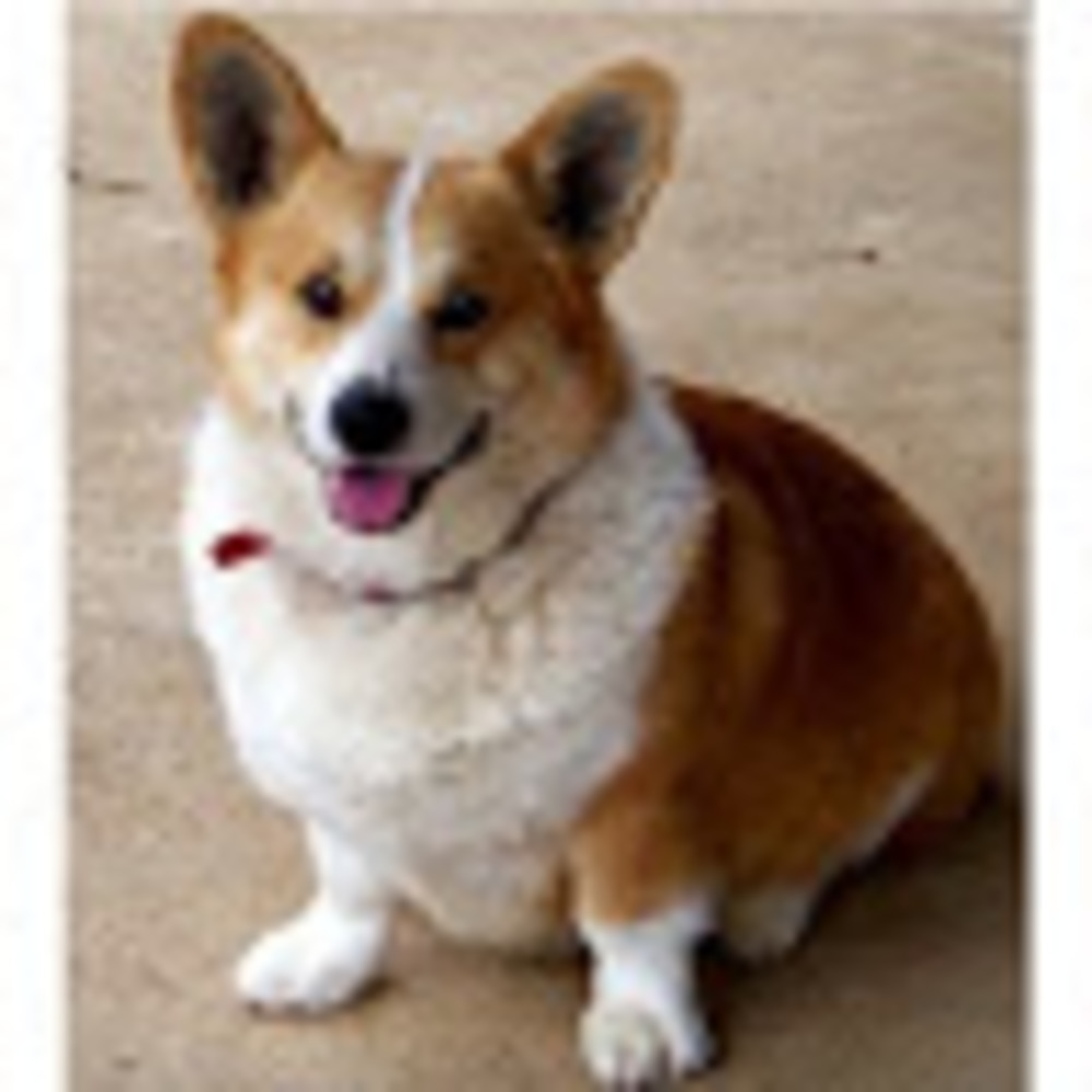 Meet your Posher, Diane